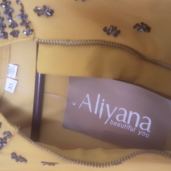 Beautiful East India Alyiana NWT Dress With Studs Sz XL - Picture 5 of 12